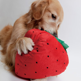 ファイル 4437-5.jpg