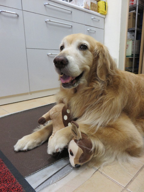 ファイル 4439-1.jpg