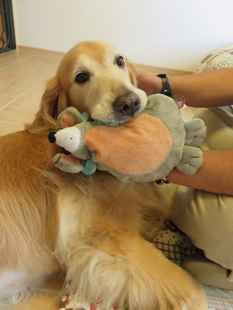 ファイル 4439-3.jpg