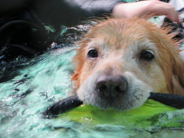 ファイル 4439-4.jpg