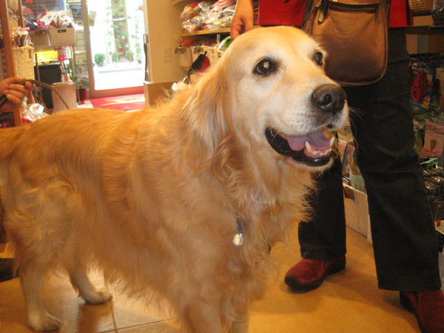 ファイル 444-1.jpg