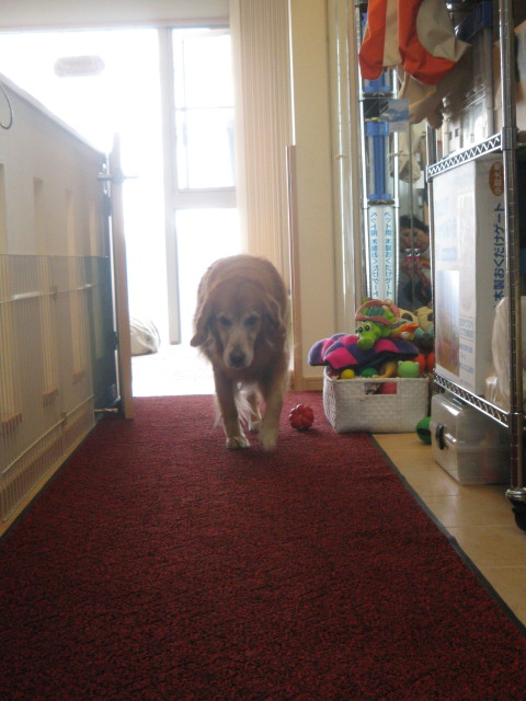 ファイル 444-2.jpg