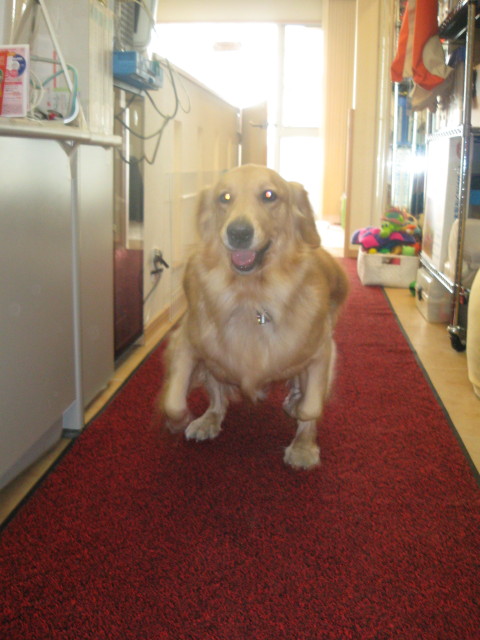 ファイル 444-3.jpg