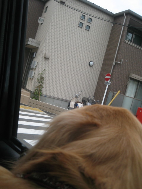 ファイル 444-5.jpg