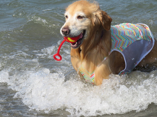 ファイル 4440-4.jpg