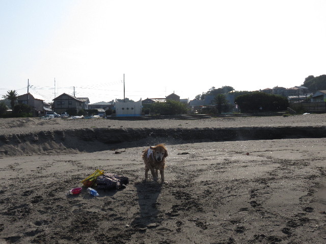 ファイル 4440-5.jpg