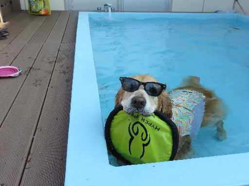 ファイル 4441-3.jpg