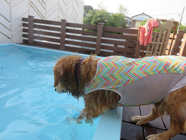 ファイル 4441-4.jpg