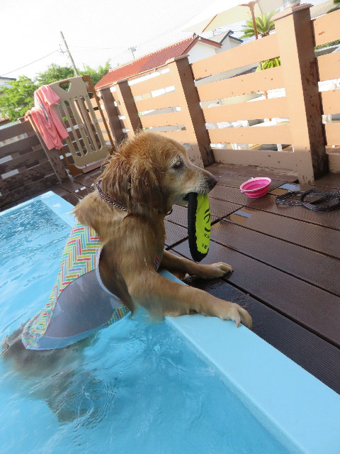 ファイル 4441-5.jpg