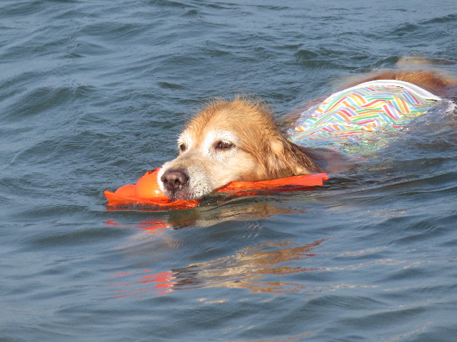 ファイル 4442-1.jpg