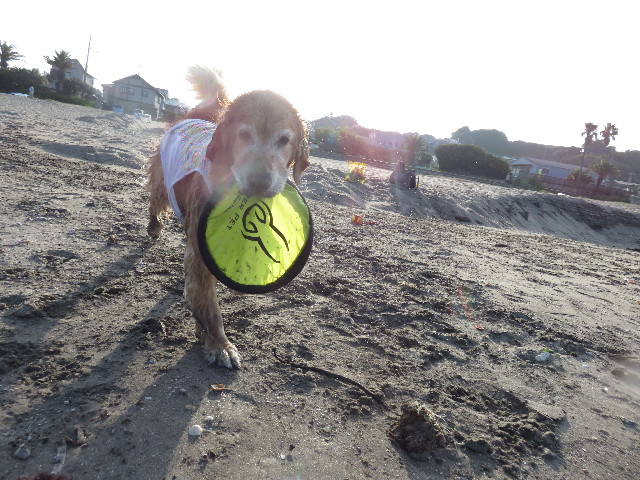 ファイル 4442-2.jpg