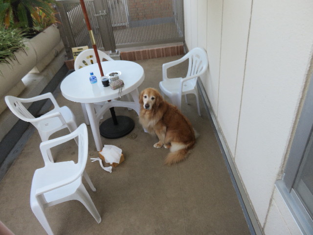 ファイル 4442-4.jpg