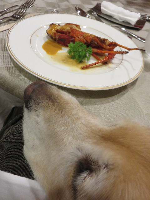 ファイル 4442-5.jpg