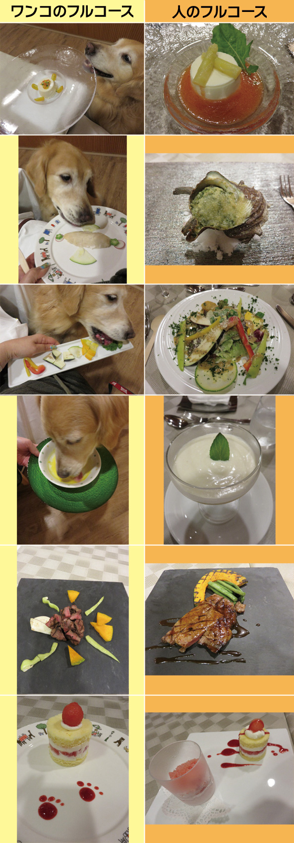 ファイル 4443-1.jpg