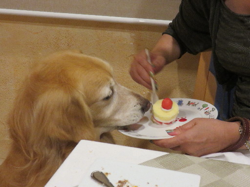 ファイル 4443-2.jpg