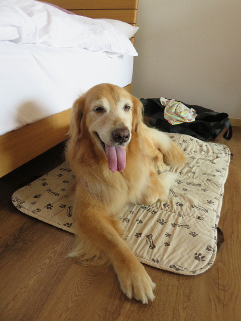 ファイル 4444-3.jpg