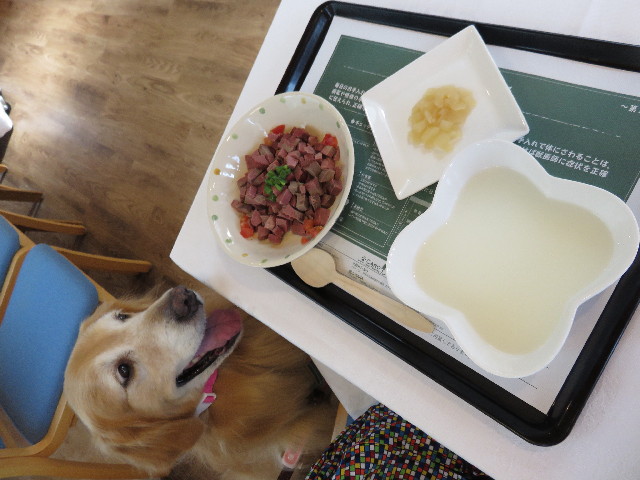 ファイル 4444-5.jpg