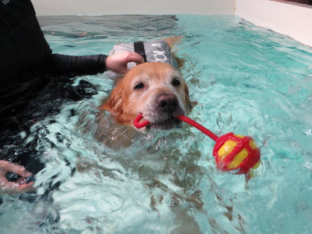 ファイル 4445-3.jpg