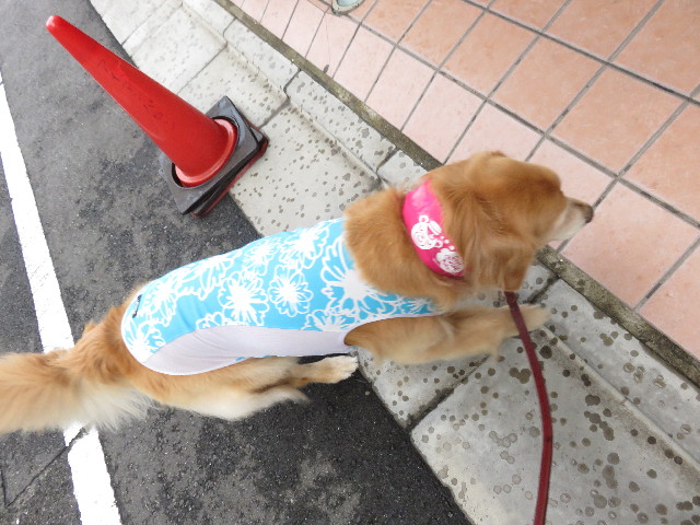 ファイル 4447-5.jpg