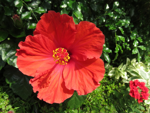 ファイル 4448-3.jpg