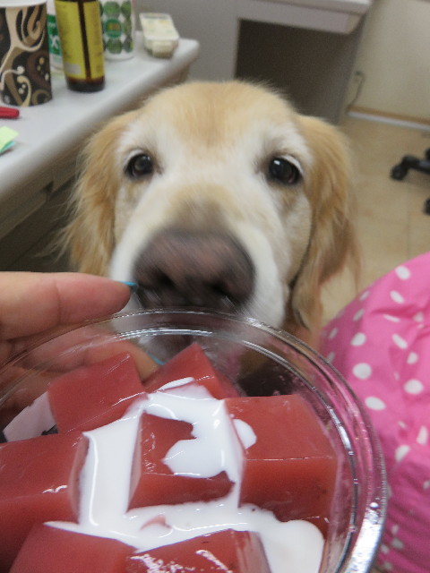 ファイル 4448-4.jpg