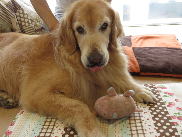 ファイル 4448-5.jpg