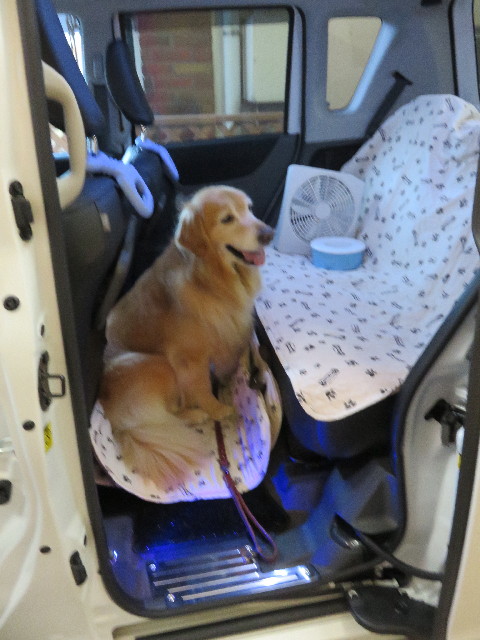 ファイル 4450-2.jpg