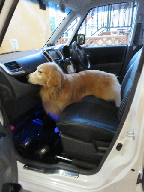 ファイル 4450-3.jpg