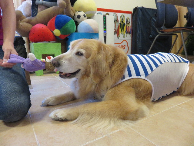 ファイル 4450-5.jpg