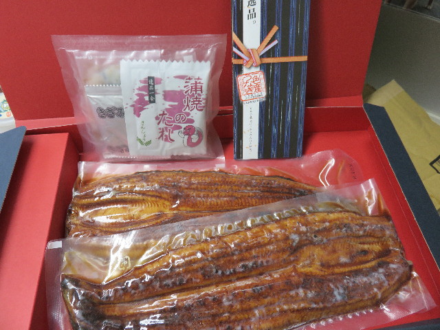 ファイル 4451-1.jpg