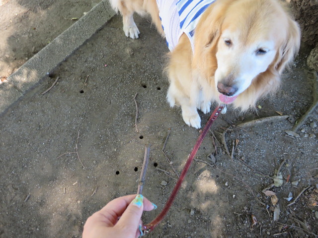 ファイル 4452-4.jpg