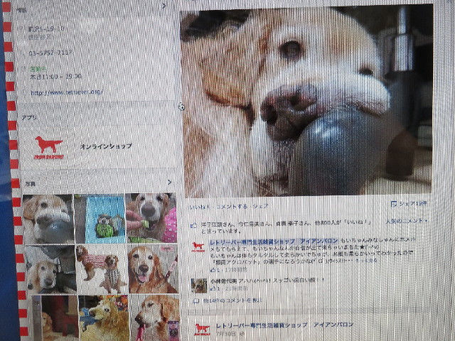 ファイル 4452-5.jpg