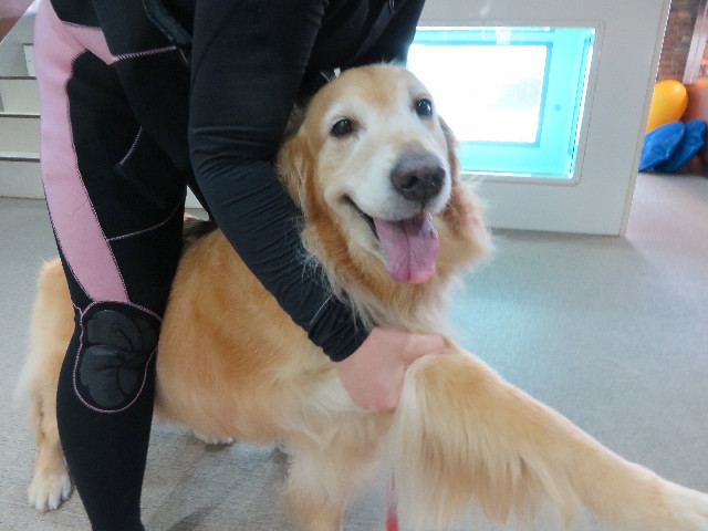 ファイル 4453-1.jpg