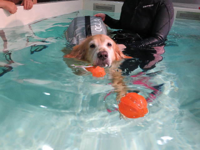 ファイル 4453-2.jpg