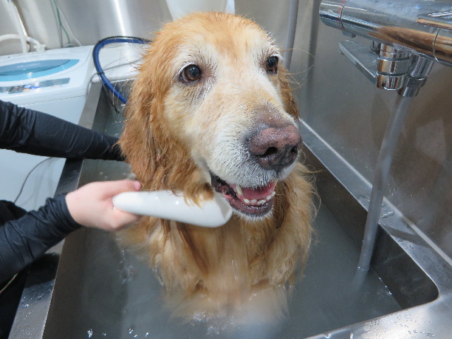 ファイル 4453-5.jpg