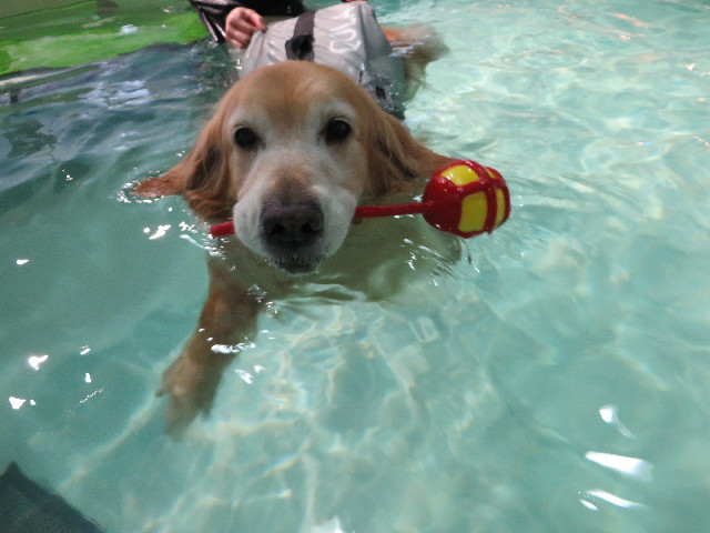 ファイル 4454-4.jpg