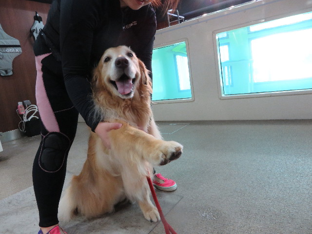 ファイル 4456-1.jpg