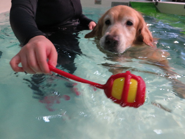 ファイル 4456-3.jpg