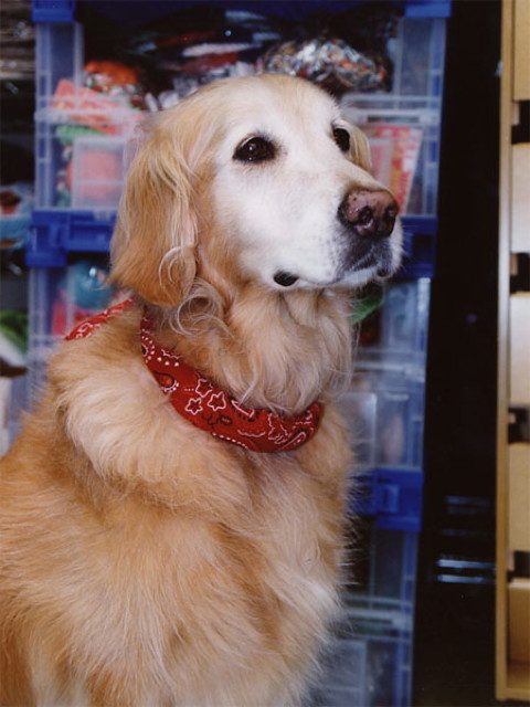 ファイル 4457-1.jpg