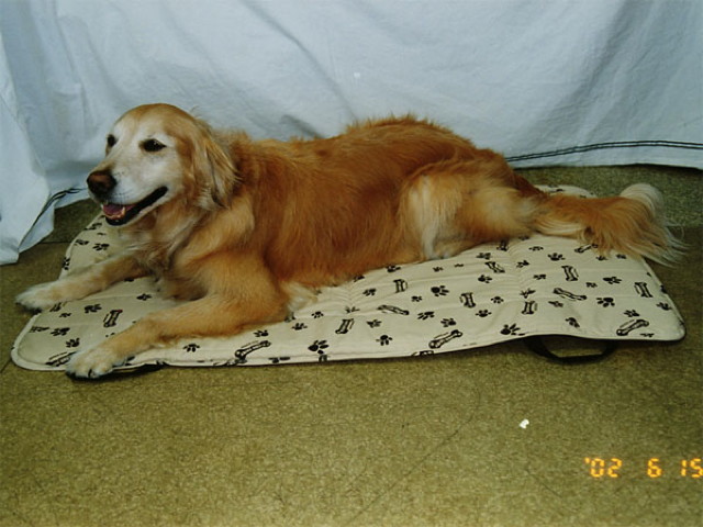 ファイル 4457-3.jpg