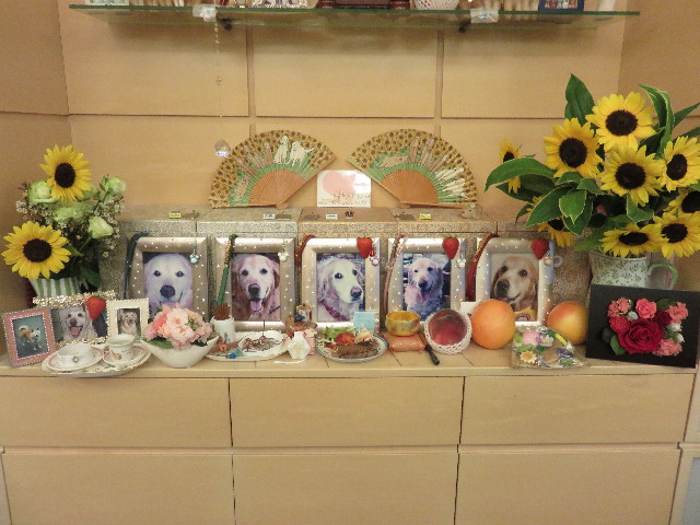 ファイル 4457-4.jpg