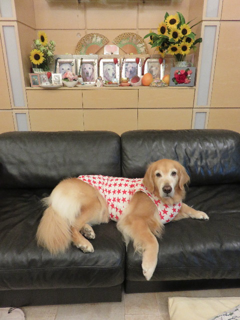 ファイル 4457-5.jpg