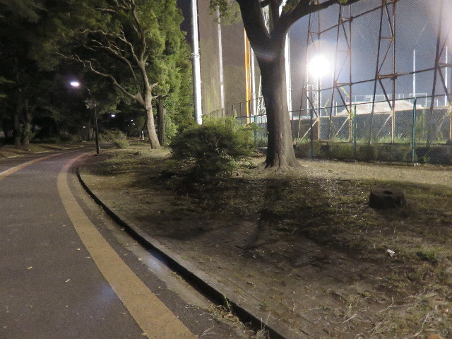 ファイル 4458-2.jpg