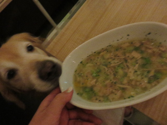 ファイル 4458-4.jpg