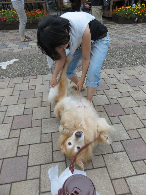 ファイル 4459-2.jpg