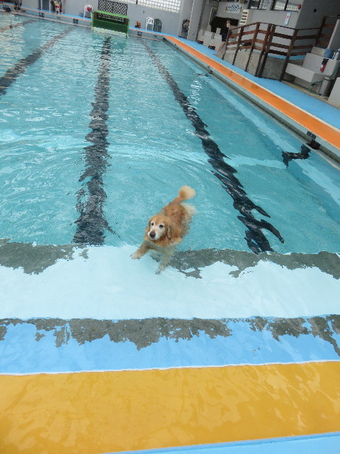 ファイル 4459-4.jpg