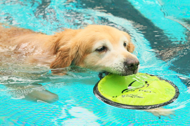 ファイル 4460-2.jpg