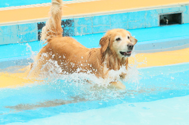 ファイル 4460-4.jpg