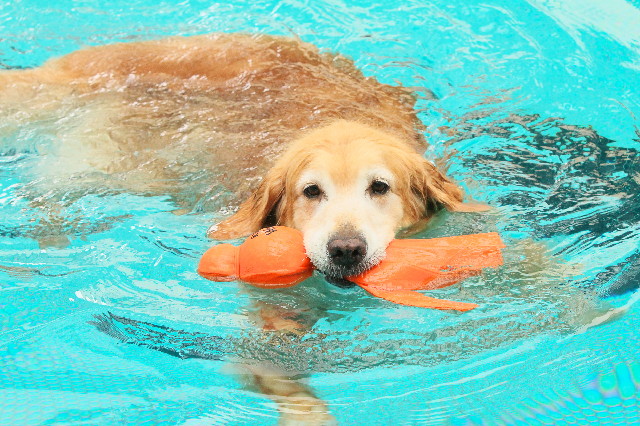 ファイル 4460-5.jpg