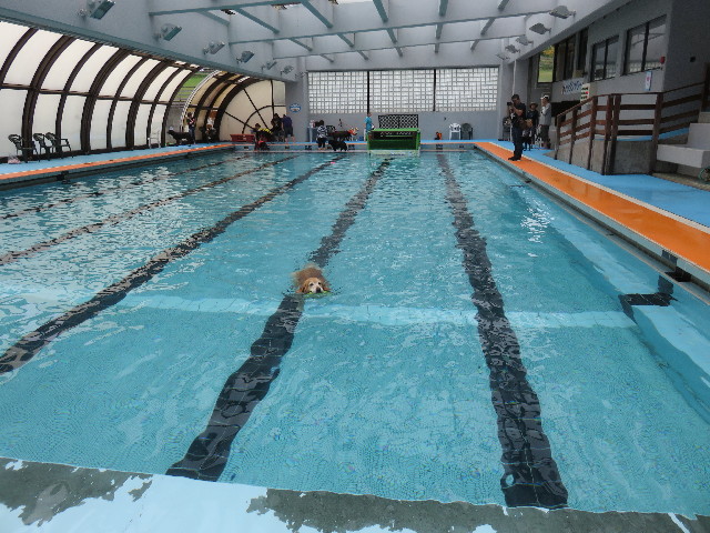 ファイル 4461-1.jpg